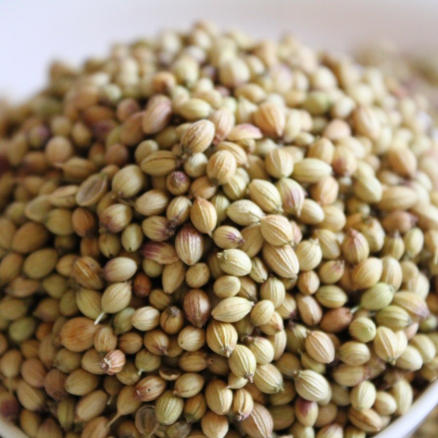 Whole golden coriander seeds piled in close-up